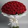 Букет 101 Красная роза Блэк Мэджик в Новосокольниках