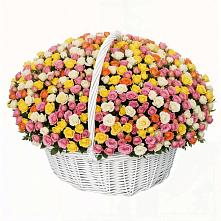 Премиум букет из: Розы в Новосокольниках