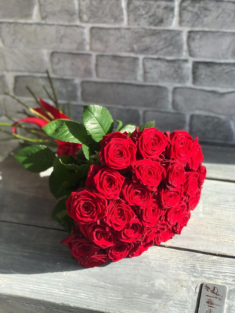 Букет Красные розы Фридом в Новосокольниках