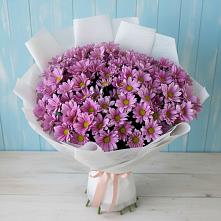 Букет цветов из:  Хризантемы #REPLACE_PRED# Новосокольниках