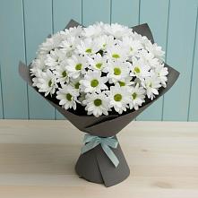 Букет цветов из:  Хризантемы #REPLACE_PRED# Новосокольниках