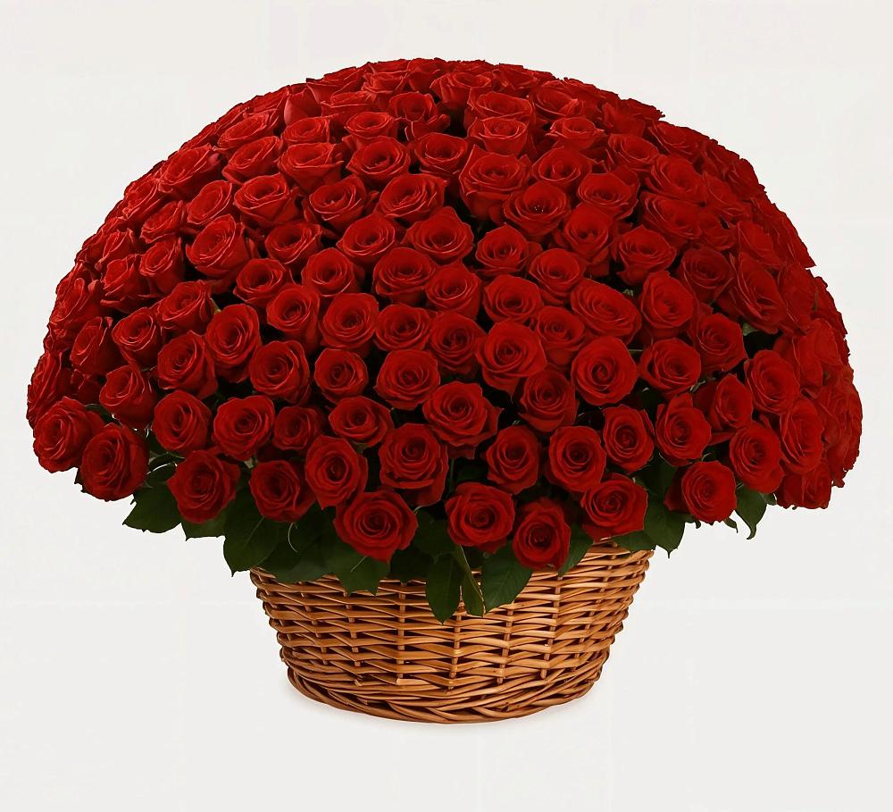 Премиум букет из: Розы в Новосокольниках