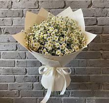 Букет цветов из:  Ромашки в Новосокольниках