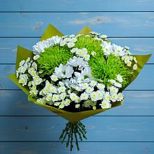 Букет цветов из:  Хризантемы #REPLACE_PRED# Новосокольниках