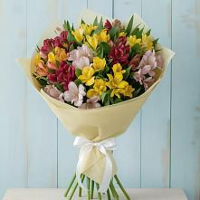 Букет цветов из:  Альстромерии в Новосокольниках