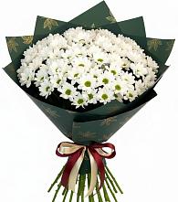 Букет цветов из:  Хризантемы в Новосокольниках