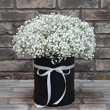 Цветочная композиция из Гипсофила в шляпной коробке в Новосокольниках