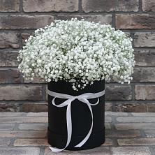 Цветочная композиция из Гипсофила в шляпной коробке в Новосокольниках